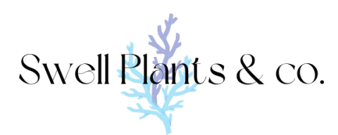 Swell Plants & co.