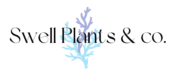 Swell Plants & co.