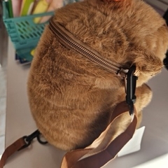 Bolsa De Capivara - Capybara na internet