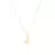 COLAR COM PINGENTE DE CALOPSITA LASER (45CM+5CM). - comprar online