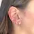 Trio Argolas Lisas em click
