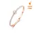 Conjunto Moderno Banhado em Ouro - Rose Gold na internet