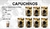 CAFÉ CAPPUCCINO SABORES. - comprar en línea