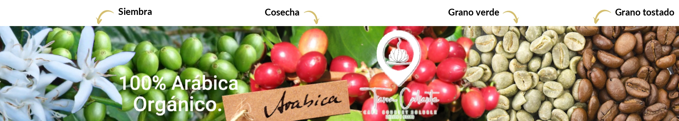 CAFÉ "Tierra Caliente".
