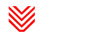 Vinyl Revest