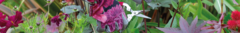 Banner de la categoría Burgon & Ball