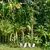 Pala Burgon & Ball RHS Perennes Corta - comprar online