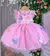 Vestido Luxo Bebê Jardim Encantado