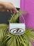 Bolsa Diesel - loja online