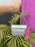 Bolsa Diesel - Aimone Store