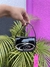 Bolsa Diesel - comprar online