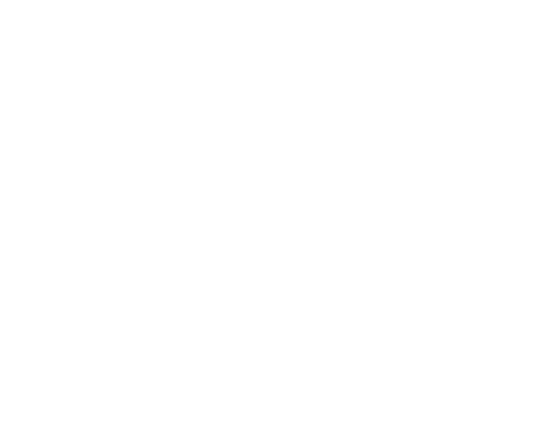 SOUN