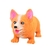 COLECAO PET DOG STRETCH SORTIDO DM - comprar online