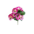 FLOR_AMOR_PERFEITO_MD_H24653