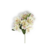 FLOR_ASTROMELIA_MD_H23048
