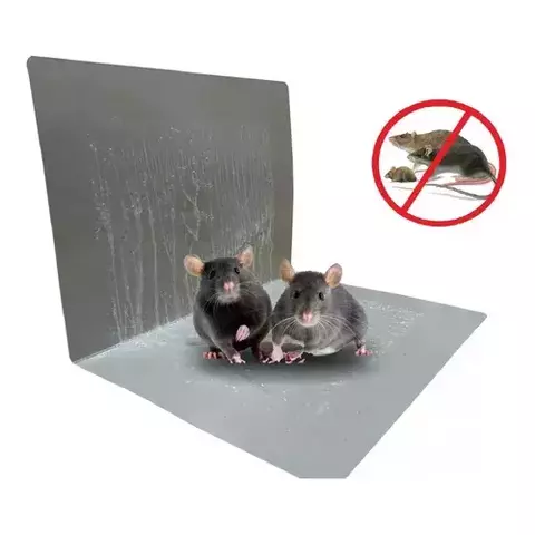 RATOEIRA_ADESIVA