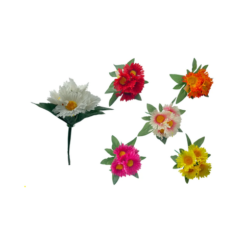 FLOR_DO_CAMPO_X5_REF:305180
