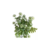 RAMO_ARTIFICIAL_BERRIE_REF:H25679