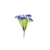 FLOR_IRIS_MD_H24654