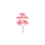 BQ_DALIA_X5_BG305127