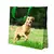 SACOLA_REUTILIZAVEL_ECOLOGICA_CACHORRO