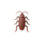 BARATA_GIGANTE_QUE_DESCE_PELO_VIDRO