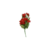 BQ_MARGARIDAS_X5_BG305061