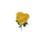 BQ_DE_ROSAS_X4_BG236044