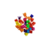 T2_PIRANHA_COLORIDA_REF:8003