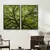 Quadro Decorativo Árvore Natureza Exposta Kit com 2 Quadros - comprar online