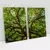 Quadro Decorativo Árvore Natureza Exposta Kit com 2 Quadros na internet