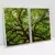 Quadro Decorativo Árvore Natureza Exposta Kit com 2 Quadros na internet