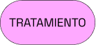Categoría 4