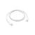 Cable USB-C 1m en internet