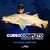 CURSO - O Especialista de Robalo - comprar online