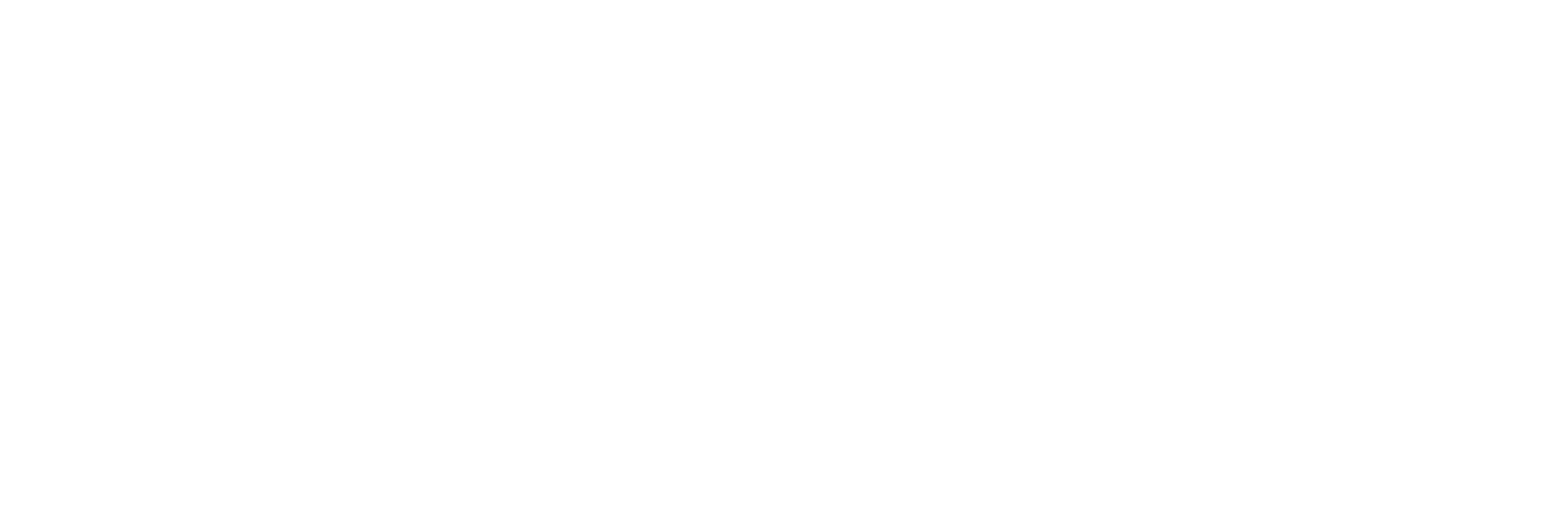 StreetWalkStore SWS