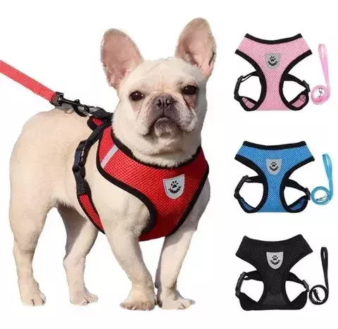 Arnés Malla Pechera Perro O Gato Talles Y Colores + Correa