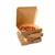 CAJA DELIVERY PIZZA M/M x 50