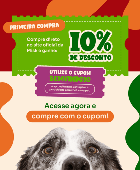 Carrossel 1