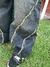 BAGGY JEAN WOLES - comprar online