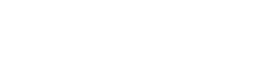Nauly Store