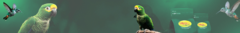 Banner da categoria Sellecta Rovani