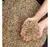 Mistura para Calopsita, Periquito e Agapornis MC-35 10Kg - E-PetGarden Store