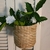 Cachepot de Palha 15x16 - comprar online