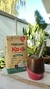 Yerba Mate Ka A 500 gr Organica en internet