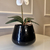Arranjo de Orquídea Branco Puro Com Vaso de Vidro Preto Brilho Conhaque na internet
