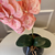 Arranjo de Orquídea Pêssego Com Vaso de Vidro Preto Brilho Conhaque - comprar online