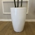 Árvore Lyrata Com Vaso Branco Bruxelas na internet