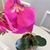 Arranjo de Orquídea Fucsia Com Vaso de Vidro Transparente Conhaque - comprar online