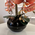 Arranjo de Orquídea Ocre Outono Com Vaso de Vidro Preto Brilho Equibana na internet